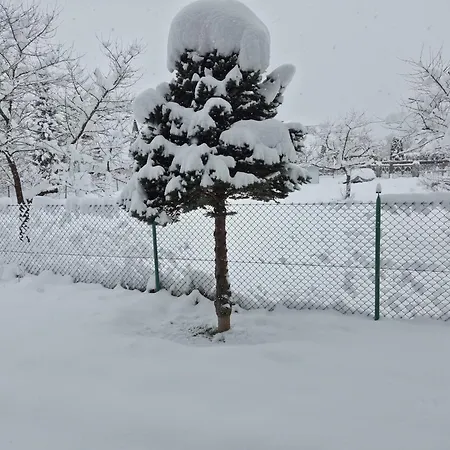 Komfort Przy Parku Zdrojowym 木屋